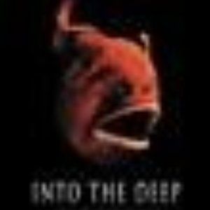 Into the Deep by Batson, Peter Book